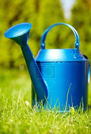 blue watering can in garden