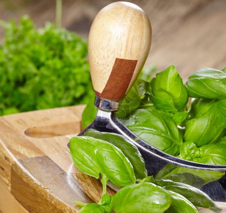 fresh and chopped herbs on cutting board
