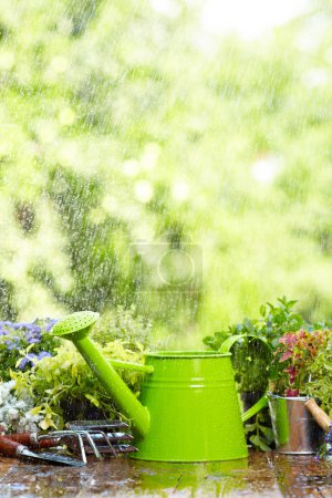 Gardening tool in rain