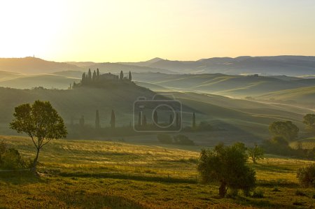 Countryside, San Quirico d'Orcia , Tuscany, Italy