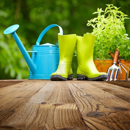Outdoor gardening tools on old wood table