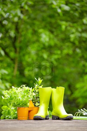 Fresh herbs in wooden box with garden tools on terrace