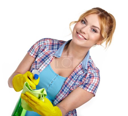 Housewife cleaning