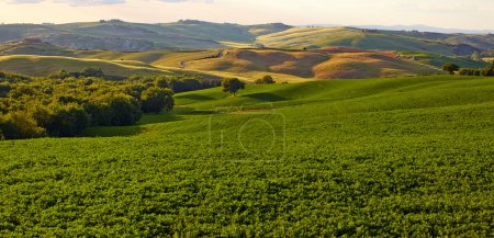 Panoramic view of  hills of Tuscany Italy in San Quirico d Orcia