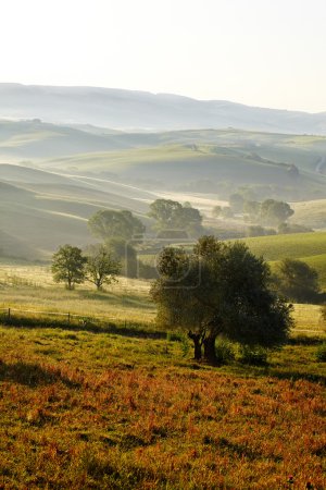 Countryside, Tuscany