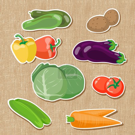 Illustration of vegetables vector illustration 