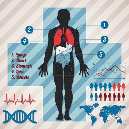 Medical infographics. Vector illustration