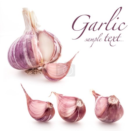 Garlic isolated