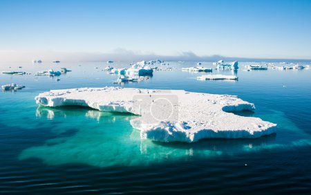 Aquamarine iceberg with penguins