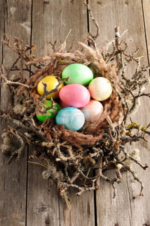 Colored easter eggs in nest