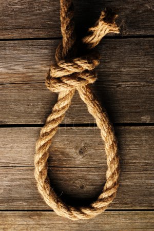Rope noose with knot