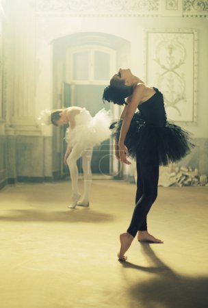 Duet of black&white ballet swans