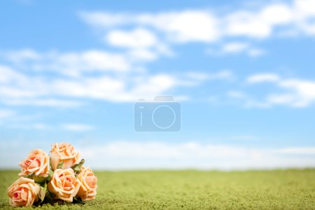 Photo-illustration of roses on a lawn
