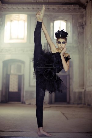 Fit young ballet dancer as a swan