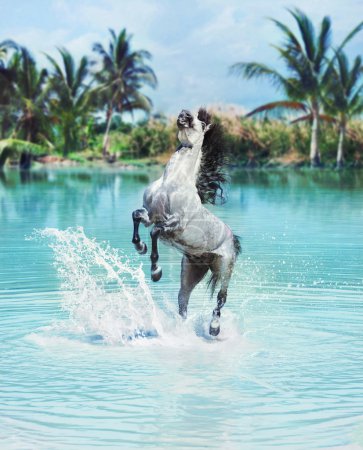 Majestic horse jumping in the pool