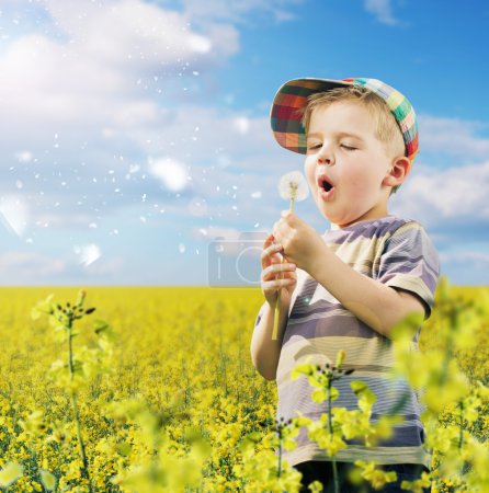Cute boy playing dandelions on the meadow