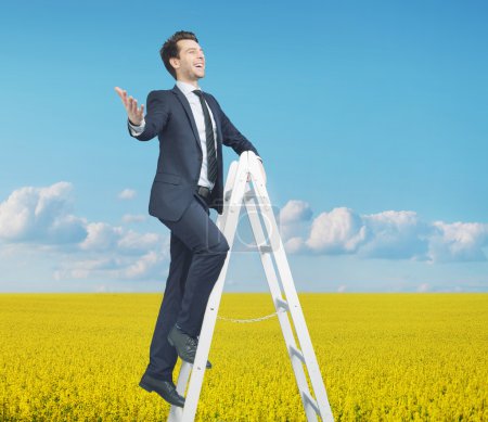 Smart businessman standing on the ladder