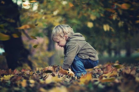 Little boy and autumn leaves