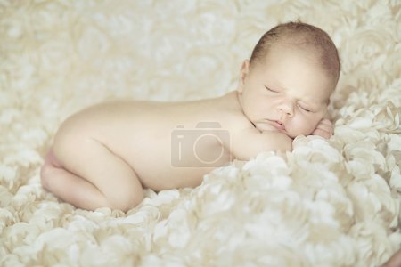 Portrait of newborn baby sleeping on petals