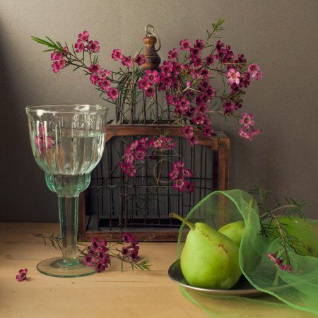 Still life with bird cage and pears