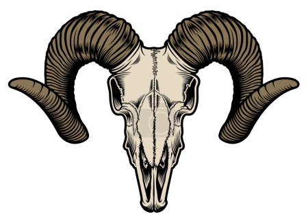 Goat Skull Vector