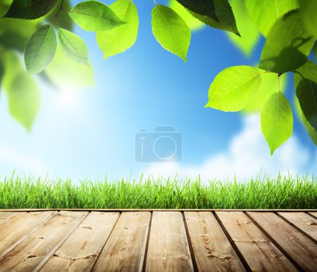 summer background with wooden surface