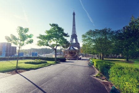 sunny morning and Eiffel Tower, Paris, France 