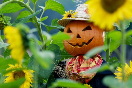 Scarecrow in the garden - Autumn harvests