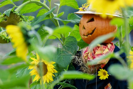 Scarecrow in the garden - Autumn harvests