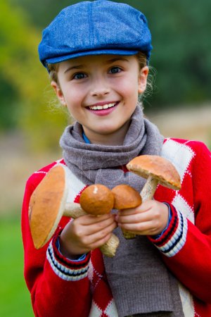 Mushrooms picking, season for mushrooms