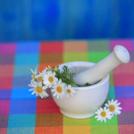 Chamomile herbs in a mortar