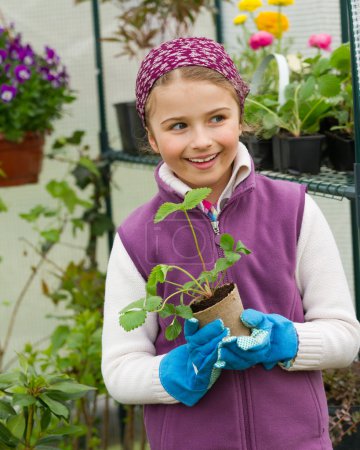 Gardening, planting - lovely girl with strawberry seedling in the greenhouse