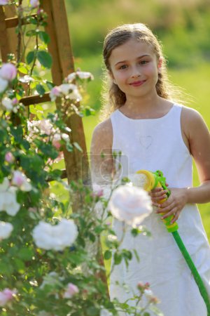 Summer garden, watering - beautiful  girl watering roses