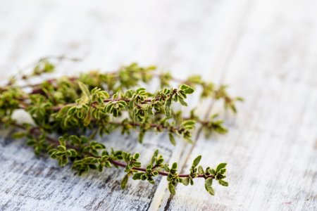 Thyme herbs on the wooden table
