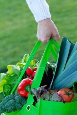 Shopping, vegetables - full shopping bag with diet food
