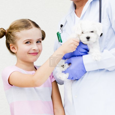 Veterinary care - lovely girl with her maltese puppy to the vet