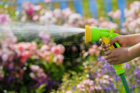 Watering, flower garden - child watering roses with garden hose 