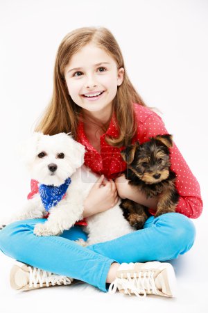 Young girl with  puppies, cute Yorkshire terrier and Maltese dog