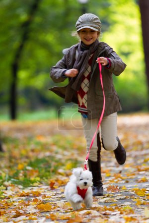 Autumn walk with puppy - fashion girl with maltese puppy in autumn park