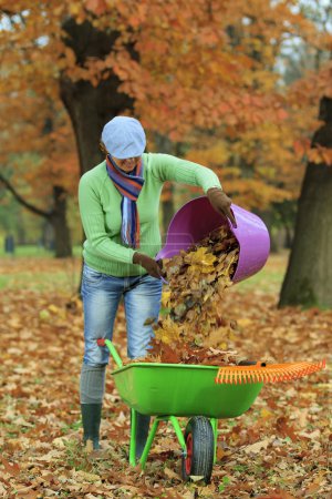 Autumn - woman raking autumn leaves in the garden