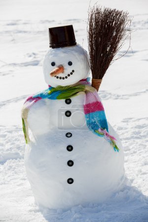 Winter, snow, snowman - winter joy