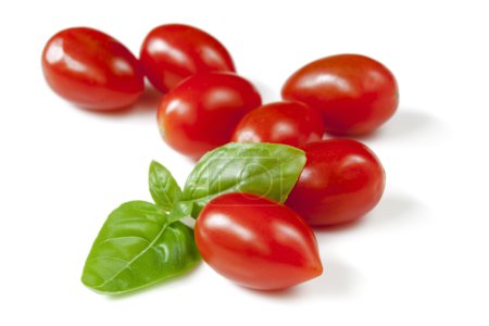 Baby Plum Tomatoes with Basil Isolated
