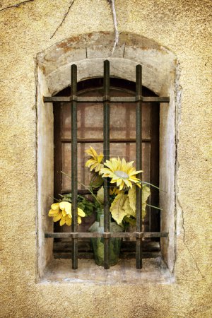 Grunge Old Barred Window with Flowers
