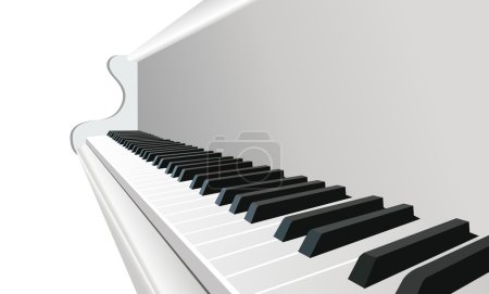 Piano vector