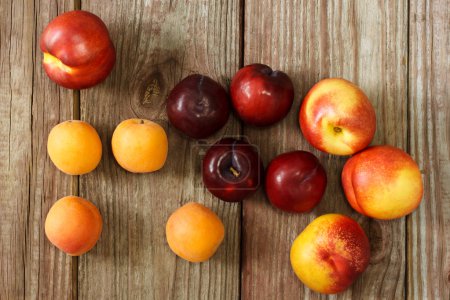 Juicy nectarines and apricots