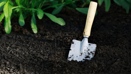 Small shovel with ground