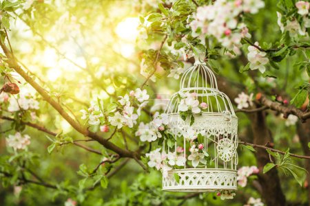 bird cage - romantic decor