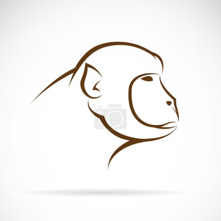 Vector image of an monkey face