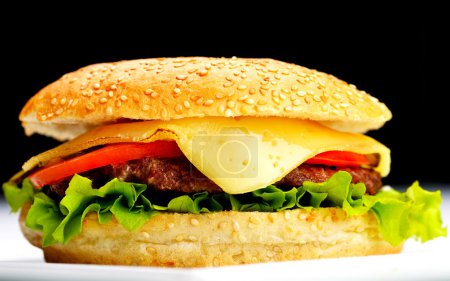 Hamburger close up