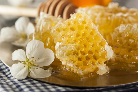 Organic Raw Golden Honey Comb